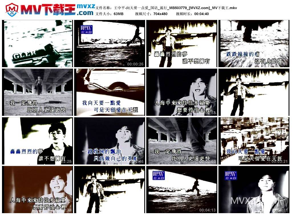 王中平-向天要一点爱_国语_流行_MB503779